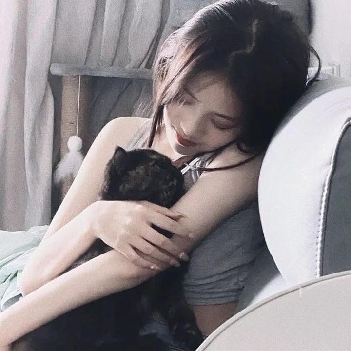 泰山和美人鱼